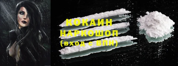 дмт Новодвинск
