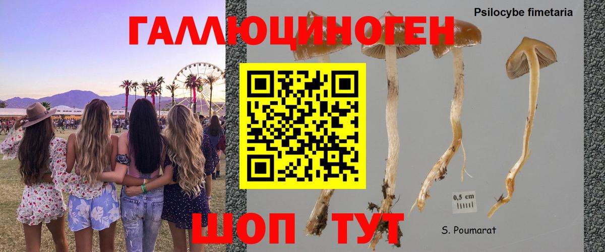 Псилоцибиновые грибы MAGIC MUSHROOMS Альметьевск